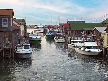 GG2008