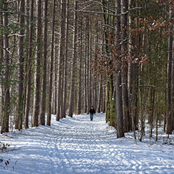 Midland City Forest Park