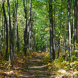 Negwegon State Park