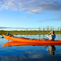 Tuttle Marsh