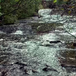 Silver River Falls