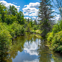 Rifle River Rec Area