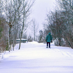 Manistique Boardwalk