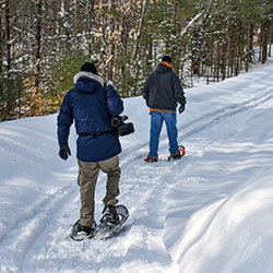 Hiawatha National Forest