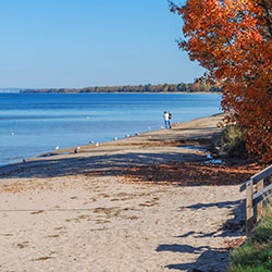 Brimley State Park