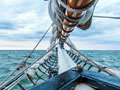 Appedore Dinner Cruise