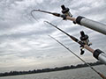 Saginaw Bay Fishing Photo Gallery 2