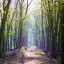 Shiawassee Wildlife Refuge