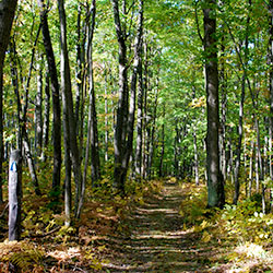 Negwegon State Park