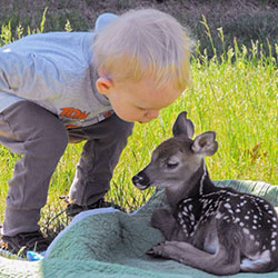 Ogemaw Nature Park