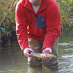 Rifle River Fishing