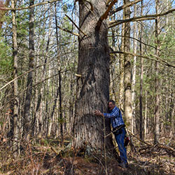 Lost Twin Lakes Trail | Houghton Lake MI