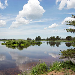 Seney