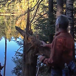 Pine Marten Run