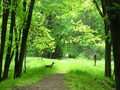 Outdoors In Saginaw County Travel Planner